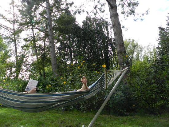 Die vorerst letzten Sonnenstrahlen werden im Garten zum Lesevergnügen.