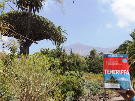 Teneriffa - Blick von Icod de los Vinos mit seinem berühmten Drachenbaum zum Teide.